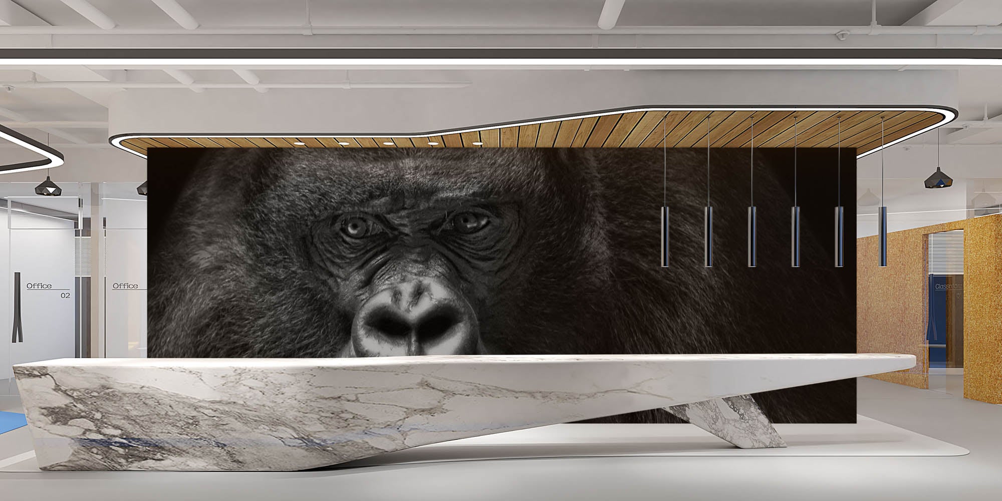 Gorilla op zwarte achtergrond - LW00214 Fotobehang