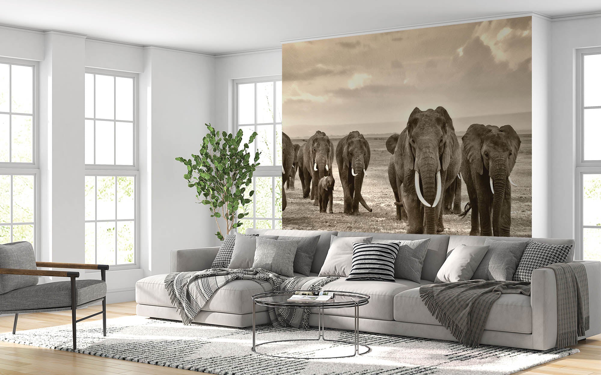 Groep lopende olifanten - LW00170 Fotobehang