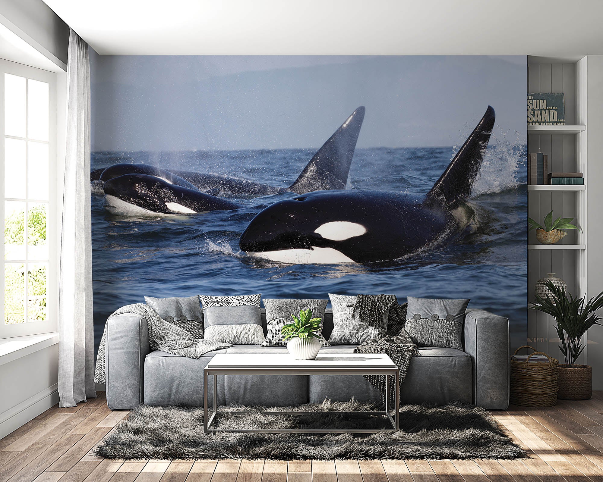 Groepje orka's - LW00197 Fotobehang