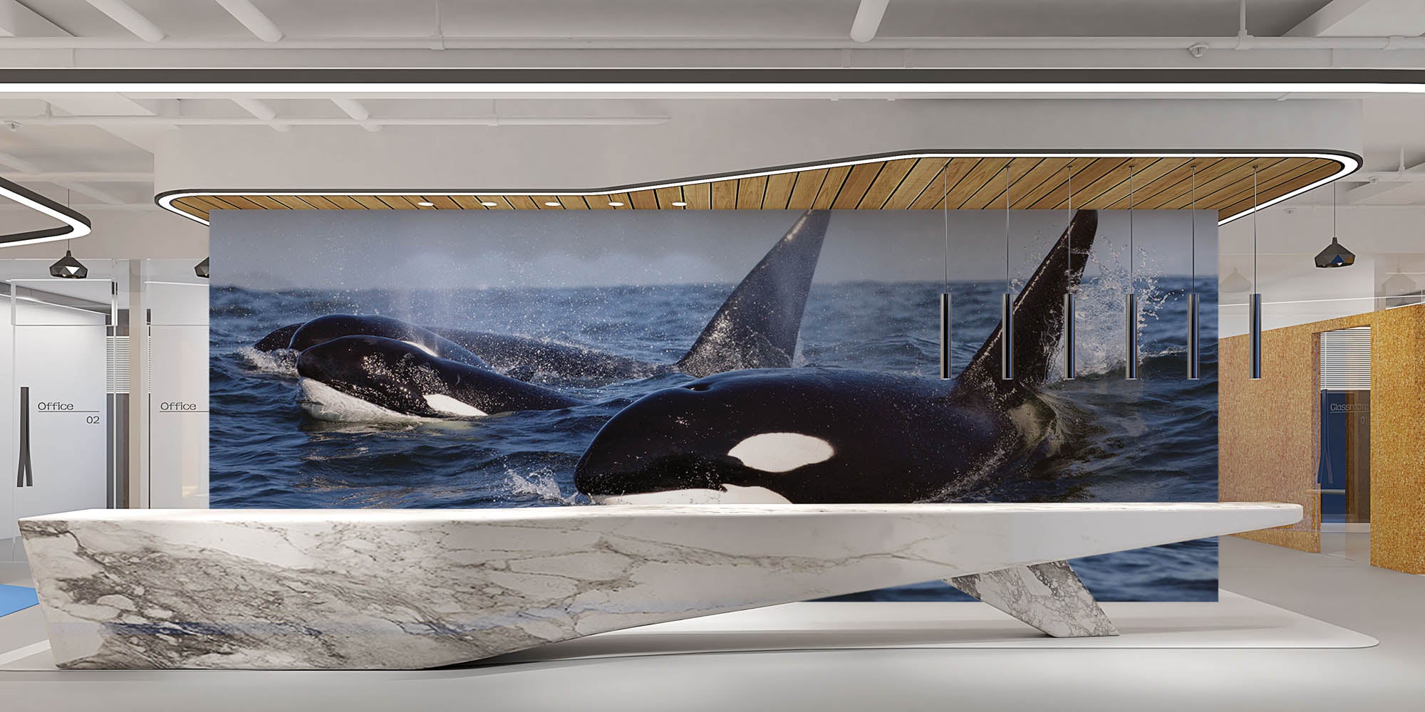 Groepje orka's - LW00197 Fotobehang