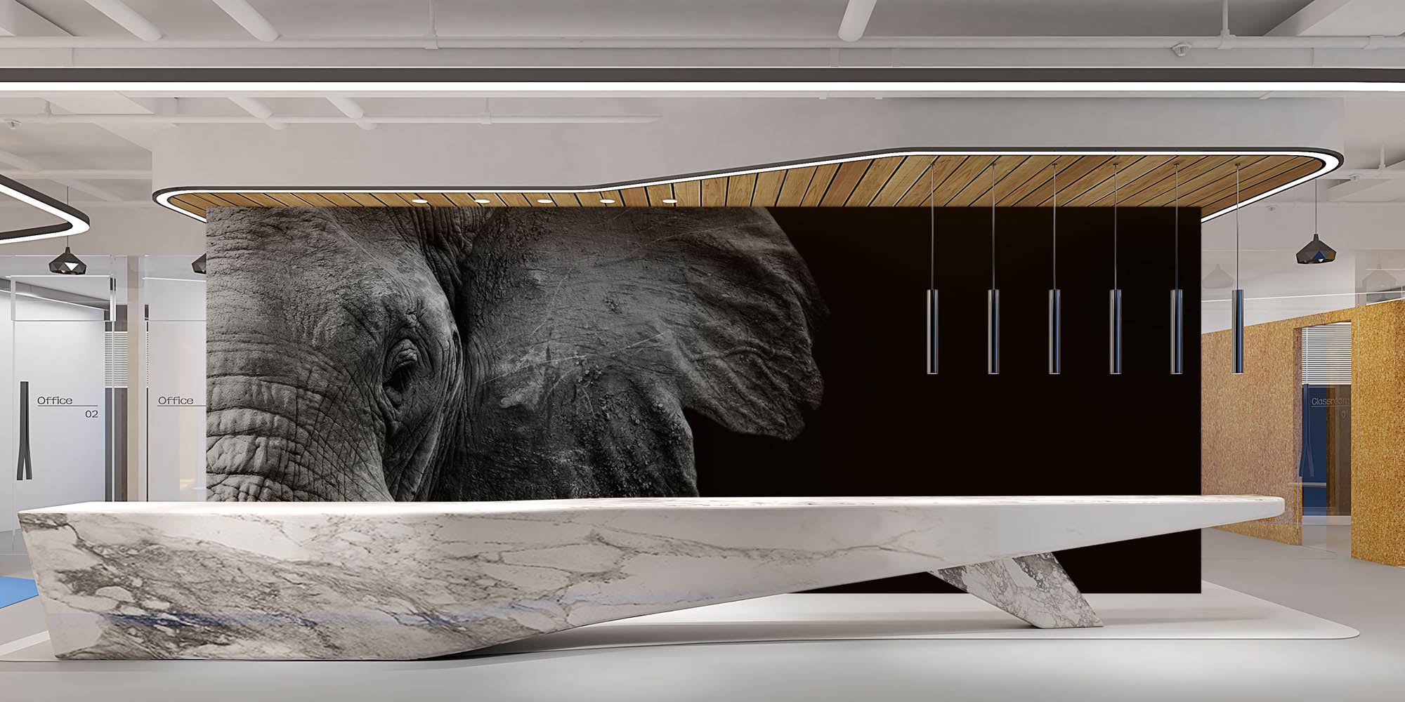 Half beeld van olifantenhoofd in zwart-wit - LW00231 Fotobehang