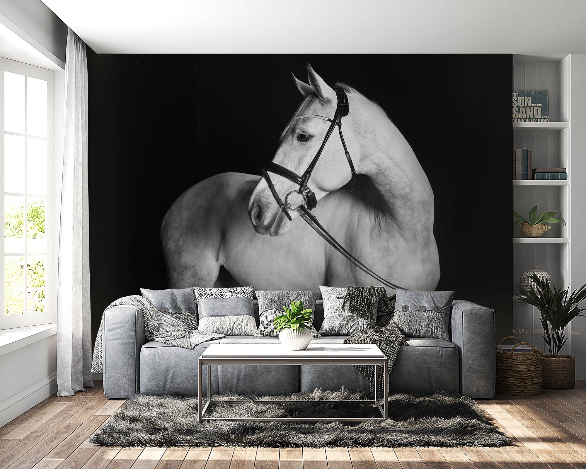 Holsteiner paard - LW00223 Fotobehang