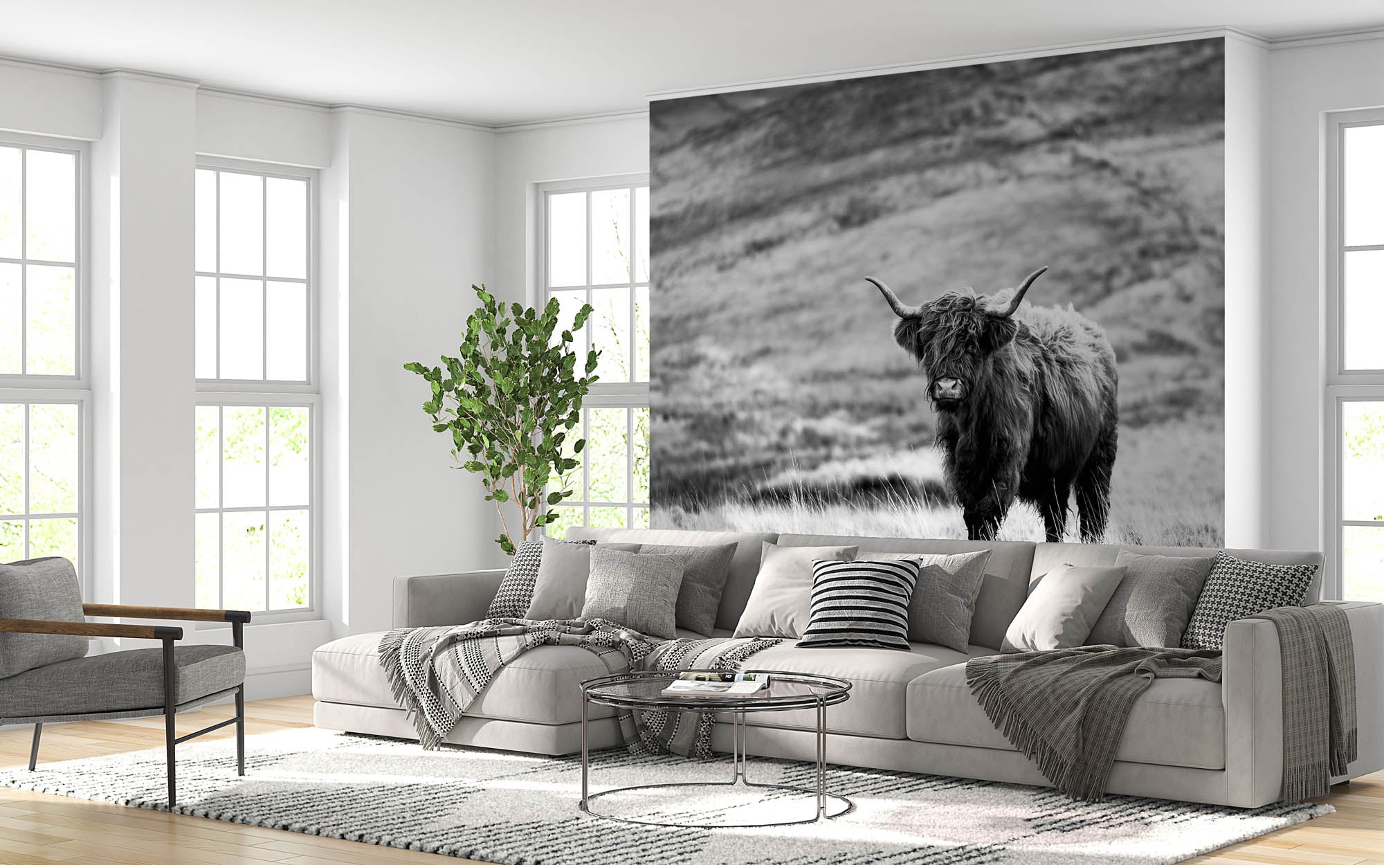 Hooglander in de natuur - LW00235 Fotobehang