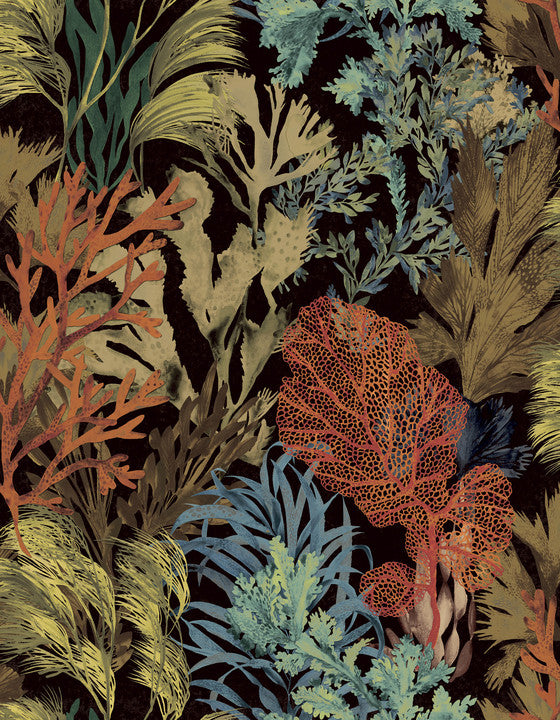 Hooked on Walls Caribbean Bora Bora 27220