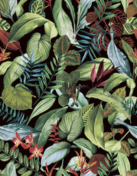 Hooked on Walls Caribbean Kiribati 27224