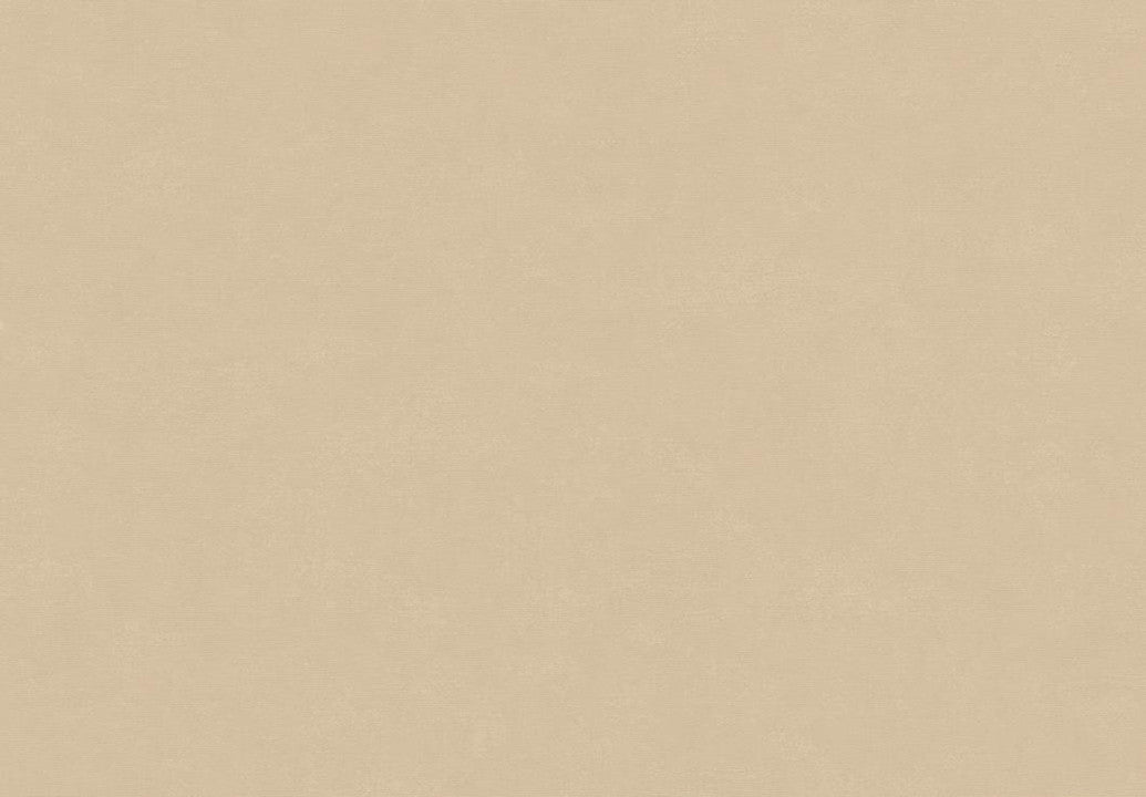 Hooked on Walls Caribbean Plain 27258