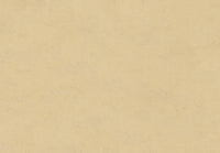 Hooked on Walls Caribbean Plain 27259