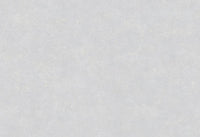 Hooked on Walls Caribbean Plain 27266