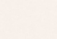 Hooked on Walls Caribbean Plain 27267