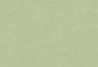 Hooked on Walls Caribbean Plain 27268