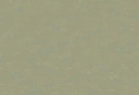 Hooked on Walls Caribbean Plain 27275