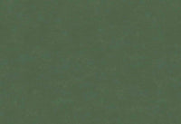 Hooked on Walls Caribbean Plain 27276