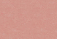 Hooked on Walls Caribbean Plain 27288