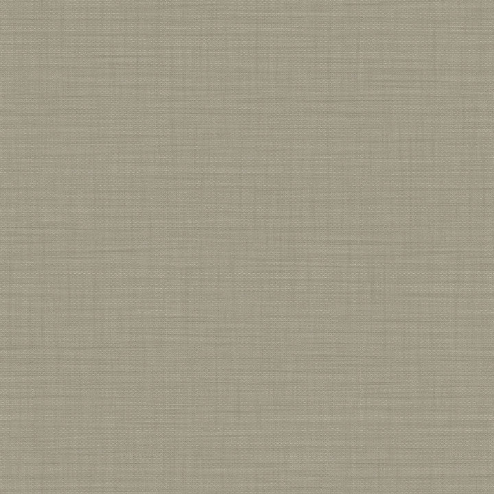 Hooked on Walls Culture Club Unito Telamare 14663