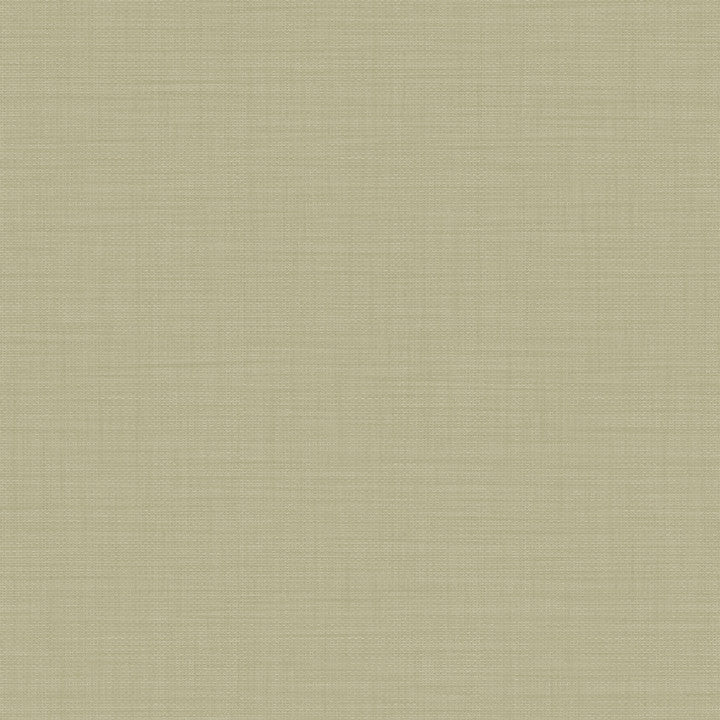 Hooked on Walls Culture Club Unito Telamare 14665