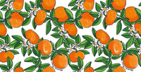 Hooked on Walls Enriquezland Tangerine 25540