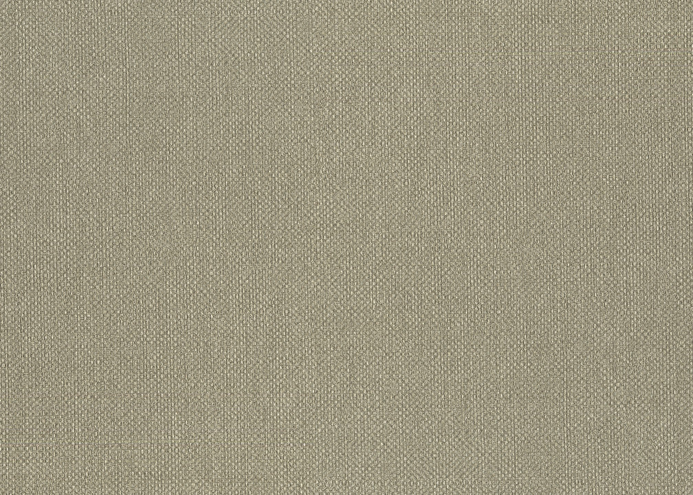 Hooked on Walls Lemuria Baobab 60632