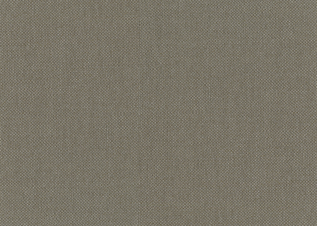 Hooked on Walls Lemuria Baobab 60633