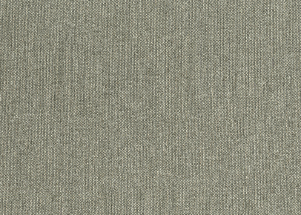 Hooked on Walls Lemuria Baobab 60634