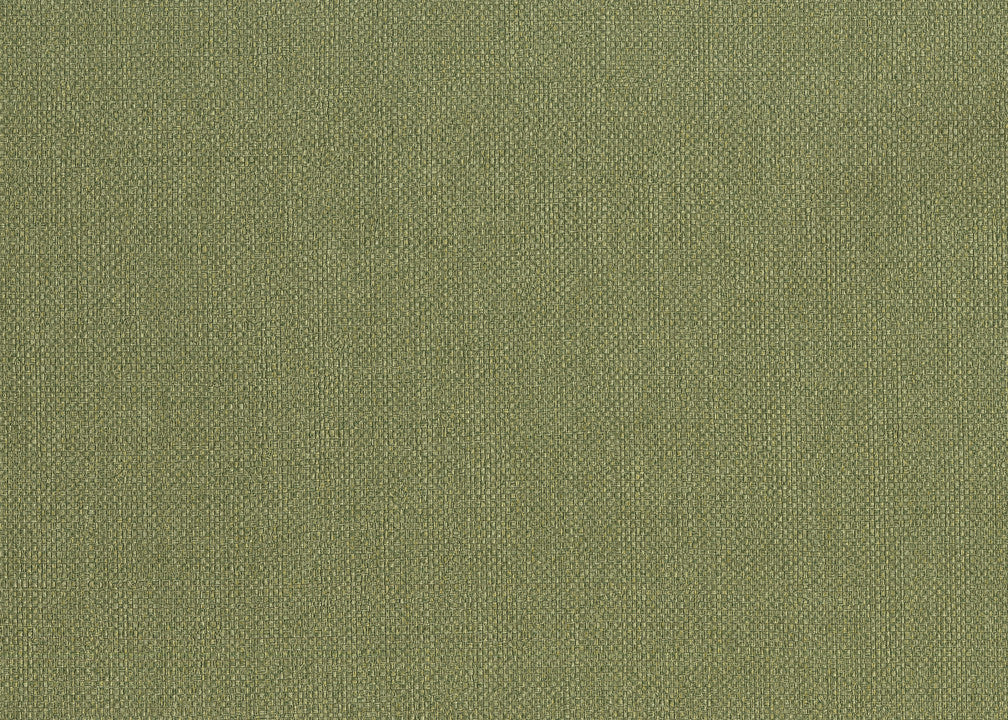 Hooked on Walls Lemuria Baobab 60635