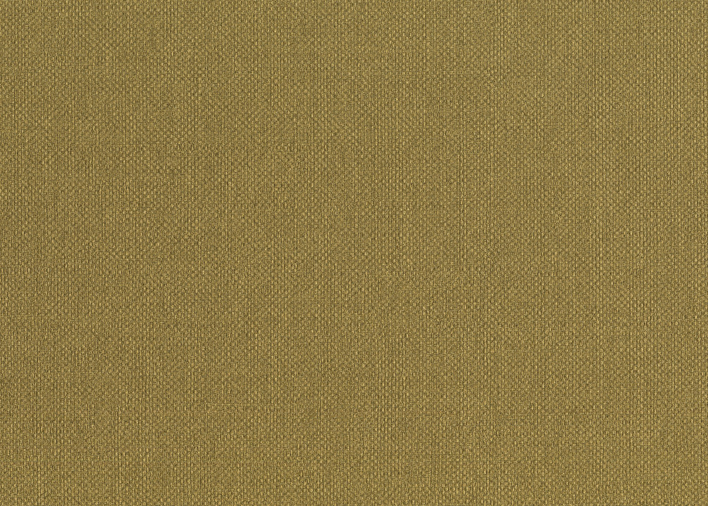 Hooked on Walls Lemuria Baobab 60636