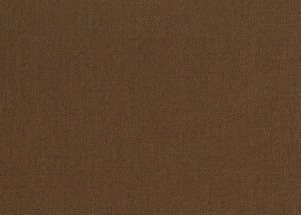 Hooked on Walls Lemuria Baobab 60637