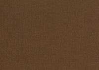 Hooked on Walls Lemuria Baobab 60637