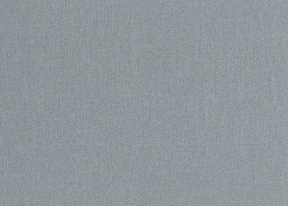 Hooked on Walls Lemuria Baobab 60638