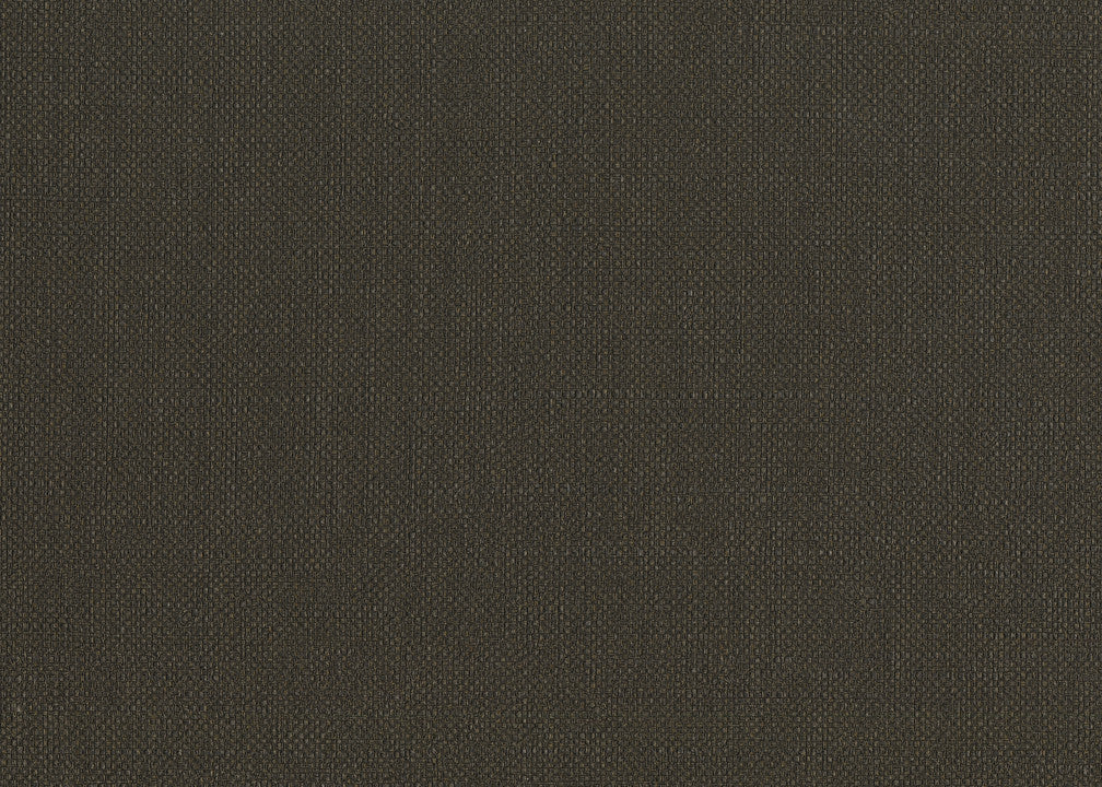 Hooked on Walls Lemuria Baobab 60642