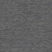 Hooked on Walls Leopard Walk Jomon 15310