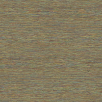 Hooked on Walls Leopard Walk Jomon 15312