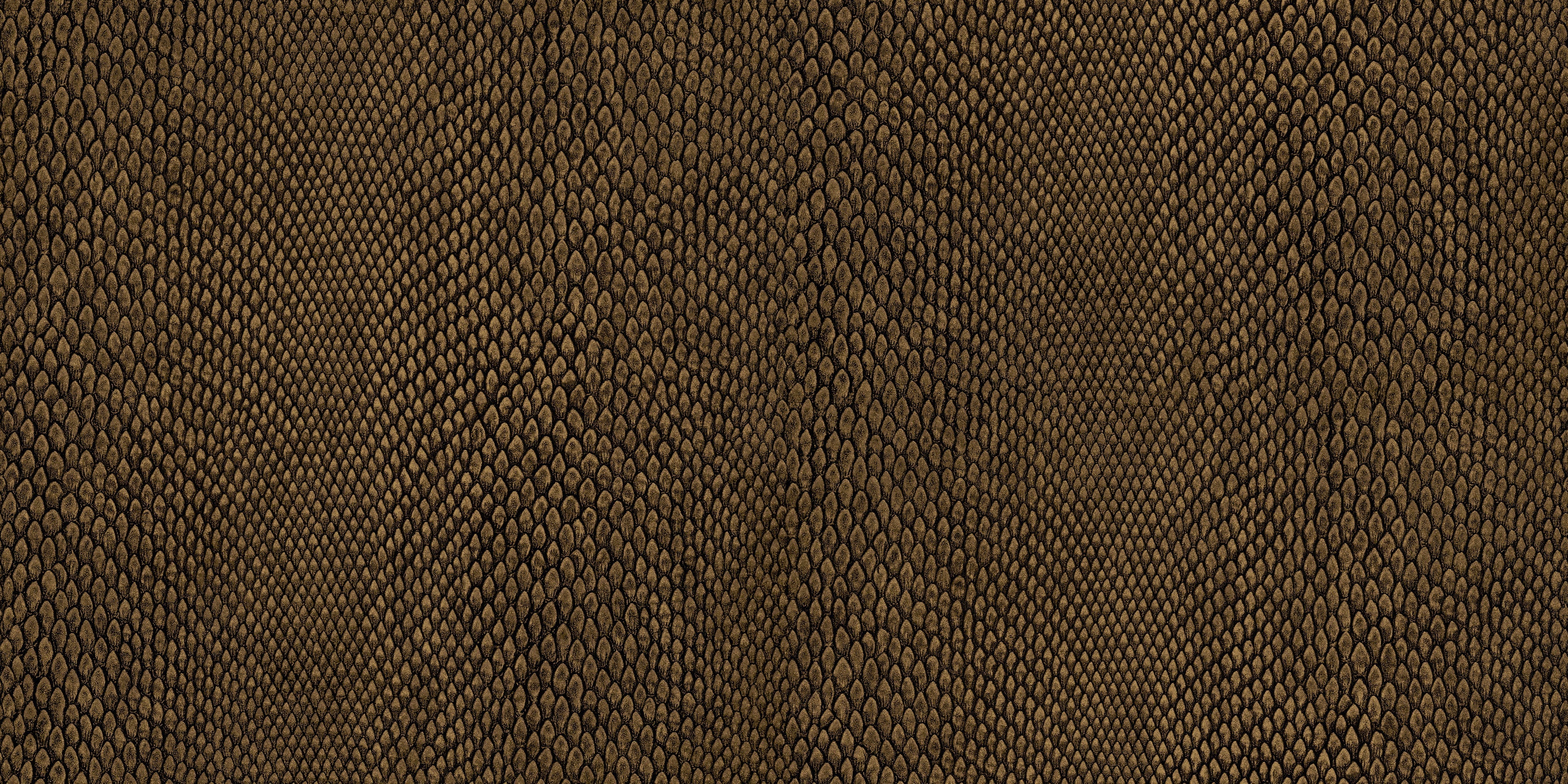 Hooked on Walls Leopard Walk Naja 15334