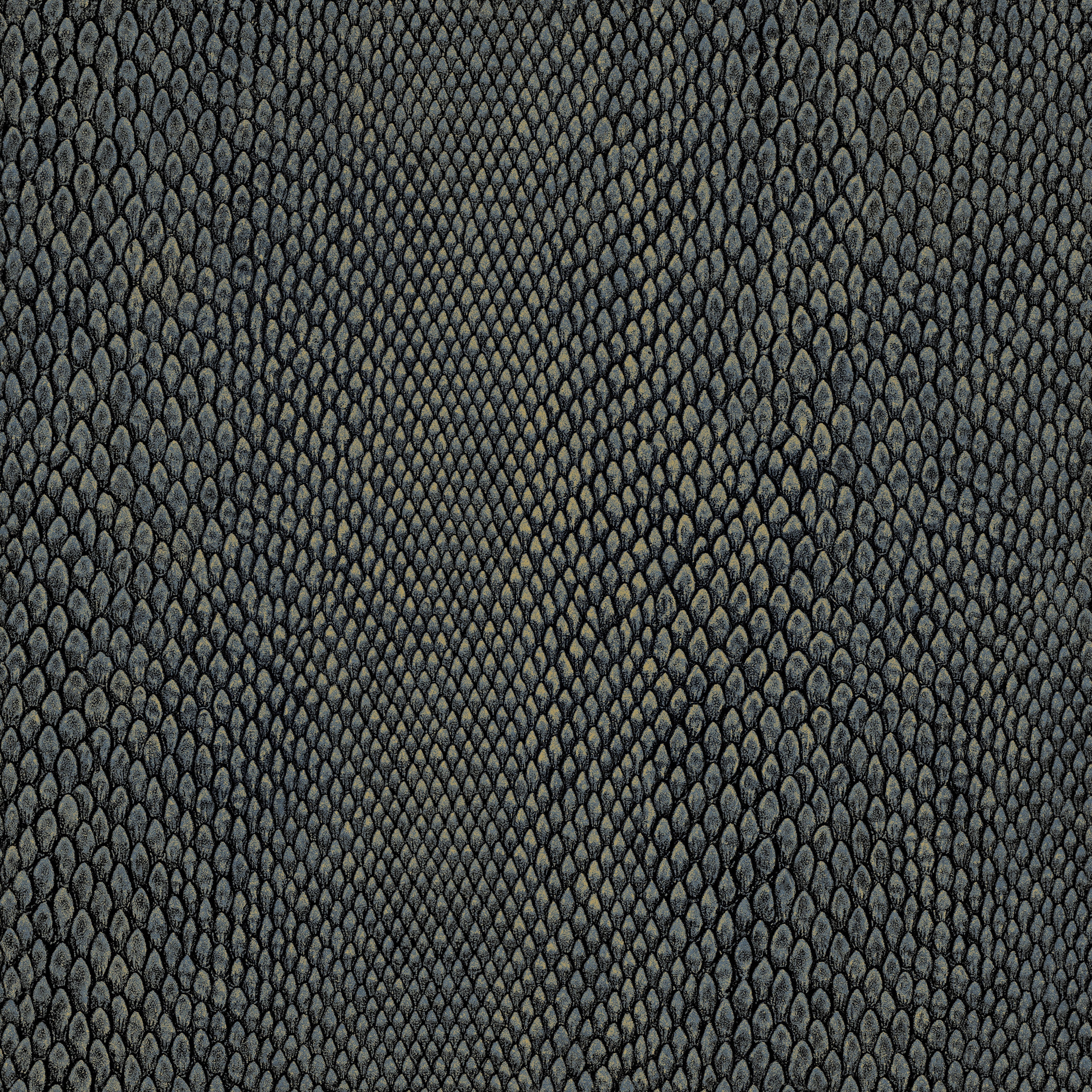 Hooked on Walls Leopard Walk Naja 15335