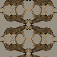 Hooked on Walls Leopard Walk Sabor 15330