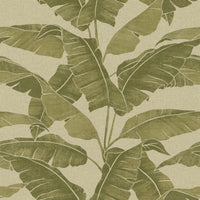 Hooked on Walls Long Island Westbury 26252