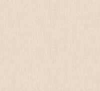 Hooked on Walls Passe Partout 2025 - 4436