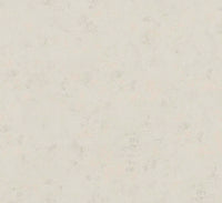 Hooked on Walls Passe Partout 2025 - 4439