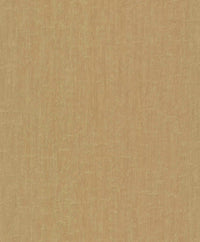 Hooked on Walls Passe Partout 2025 Plain 2 4489