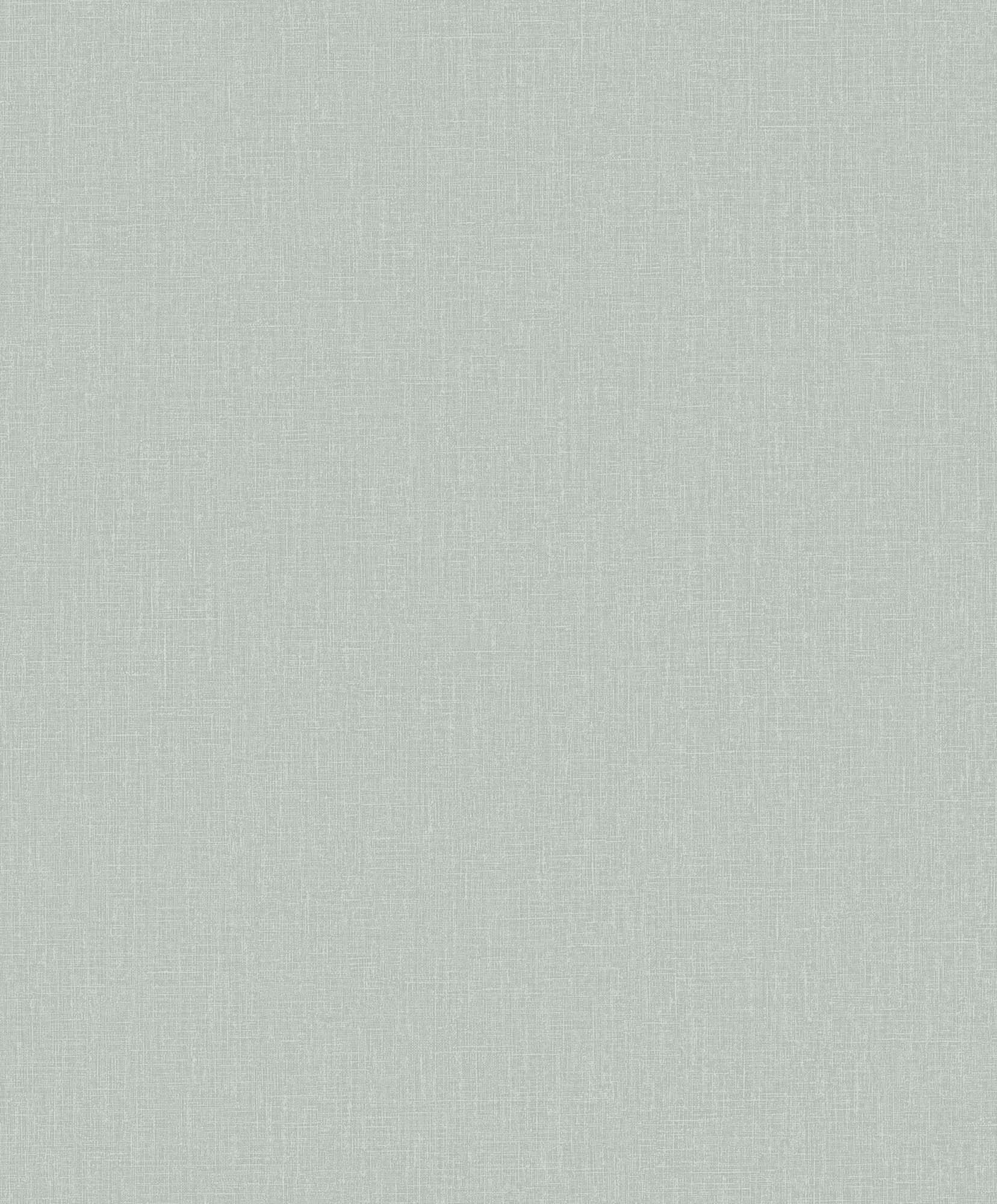 Hooked on Walls Passe Partout 2025 Plain 4554 Behang