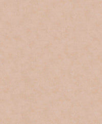 Hooked on Walls Passe Partout 2025 Shades 4470