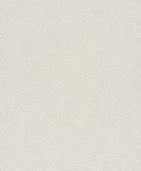 Hooked on Walls Passe Partout 2025 Travertino 4411