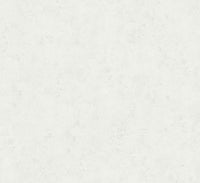 Hooked on Walls Passe Partout 2026 Casa Blanca 29631