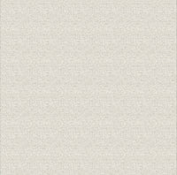 Hooked on Walls Passe Partout 2026 Casa Blanca Savio 29654