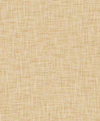 Hooked on Walls Passe Partout 2026 Colour Vibes 29893