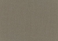 Hooked on Walls Passe Partout 2026 Colour Vibes Baobab 29842