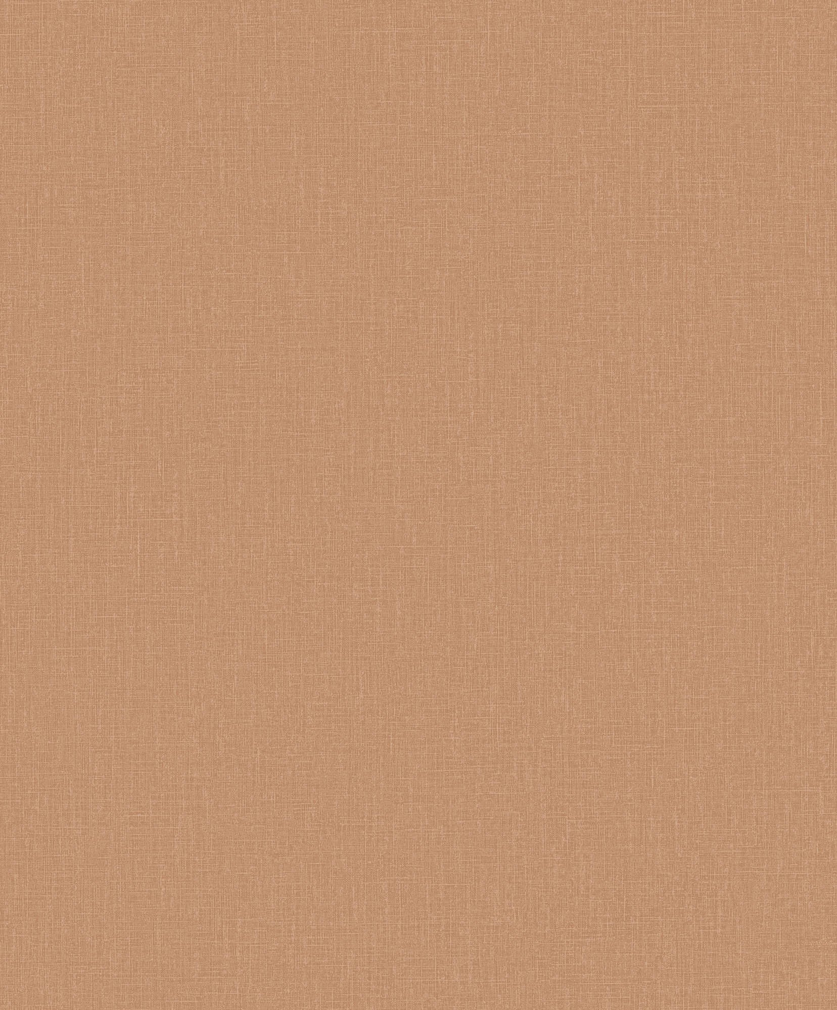 Hooked on Walls Passe Partout 2026 Colour Vibes Plain 29871 Behang