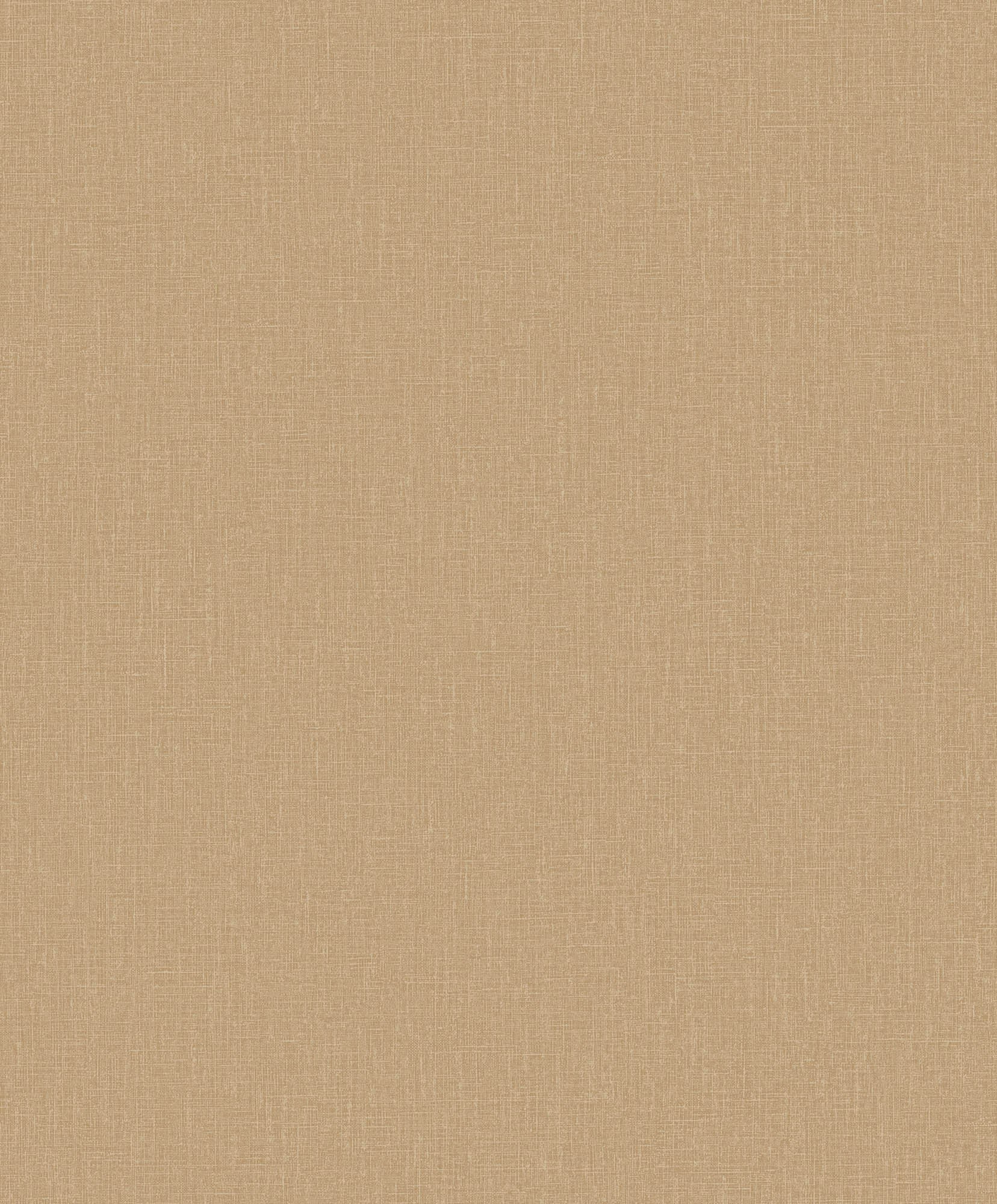 Hooked on Walls Passe Partout 2026 Colour Vibes Plain 29886 Behang