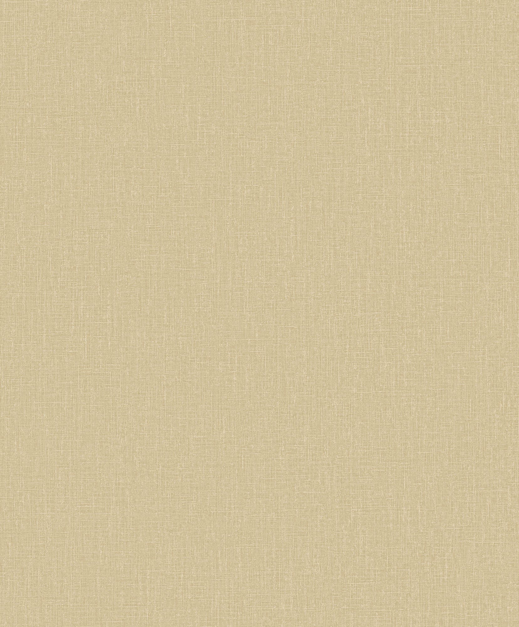 Hooked on Walls Passe Partout 2026 Colour Vibes Plain 29896 Behang