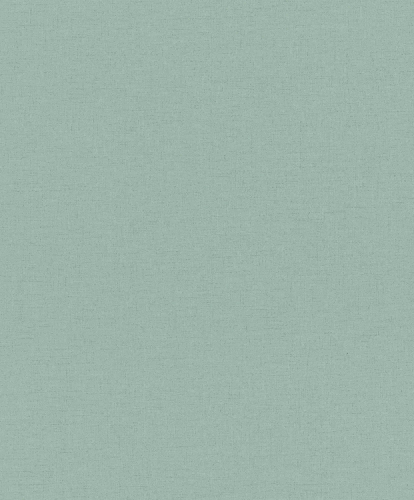 Hooked on Walls Passe Partout 2026 Colour Vibes Uni 29946 Behang