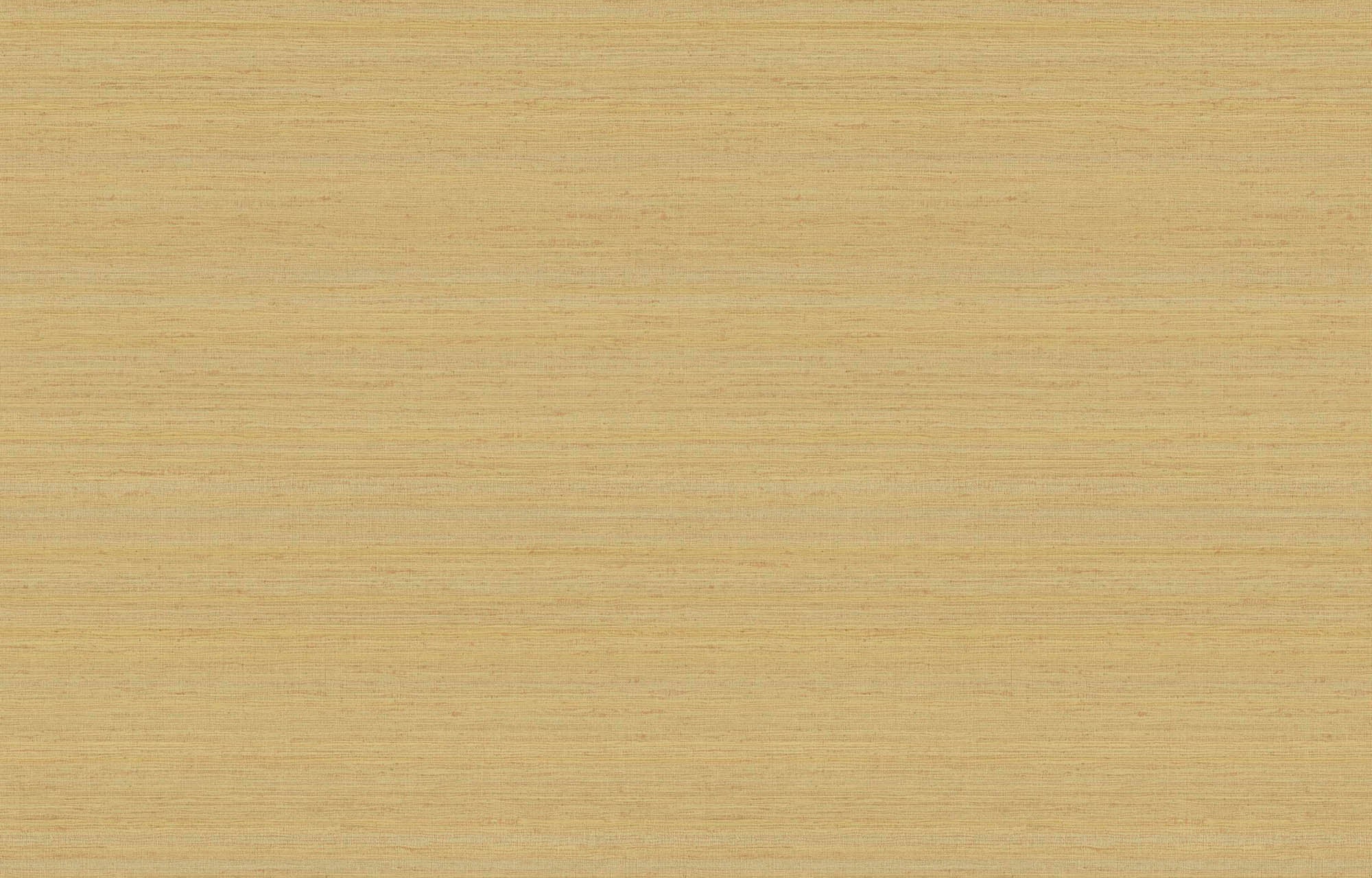 Hooked on Walls Passe Partout 2026 Colour Vibes Uni Soie Tropical 29903 Behang